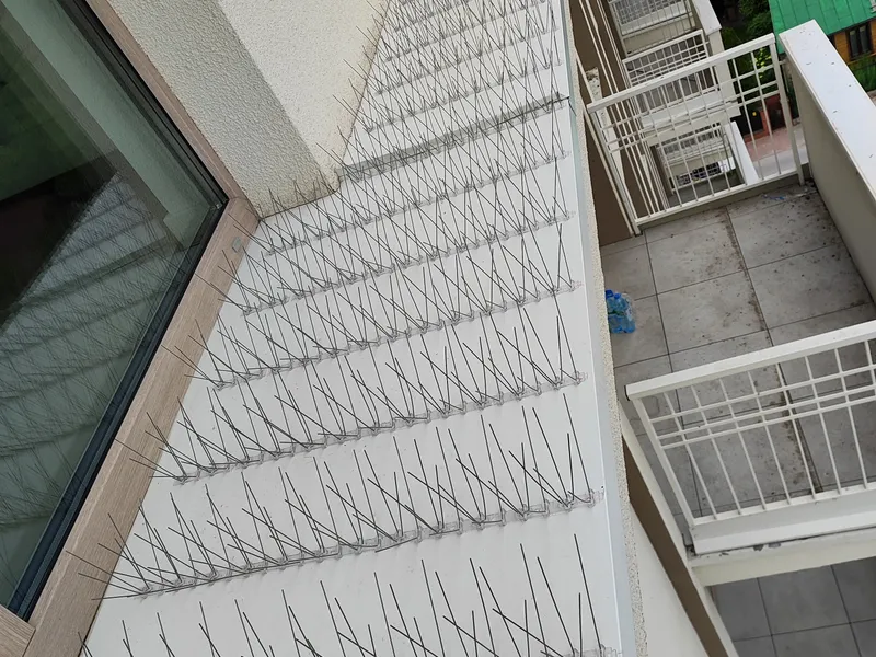 Montarz zabezpieczeń przed ptakami